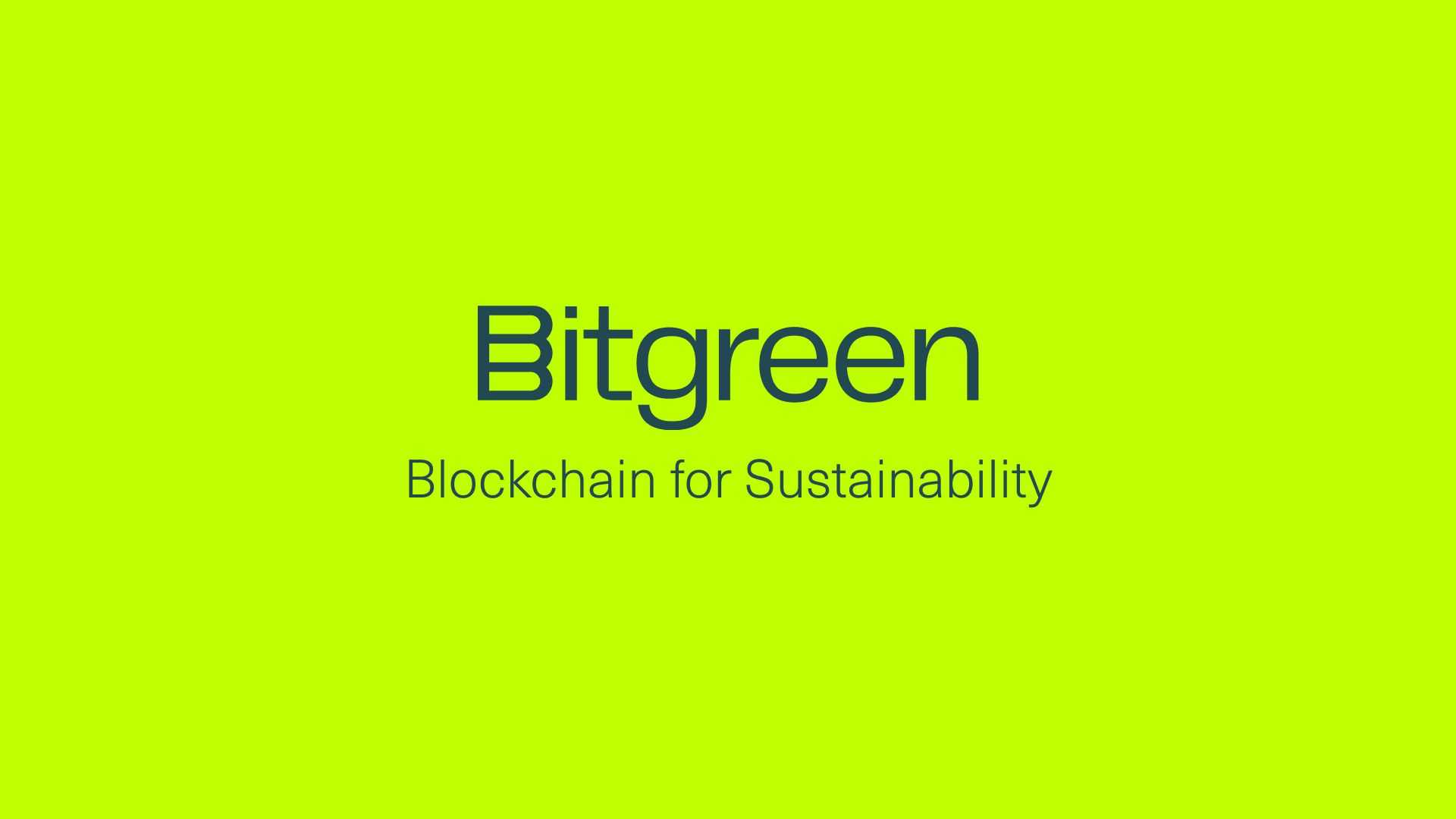Bitgreen, BITG, crypto, green crypto